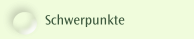 Schwerpunkte
